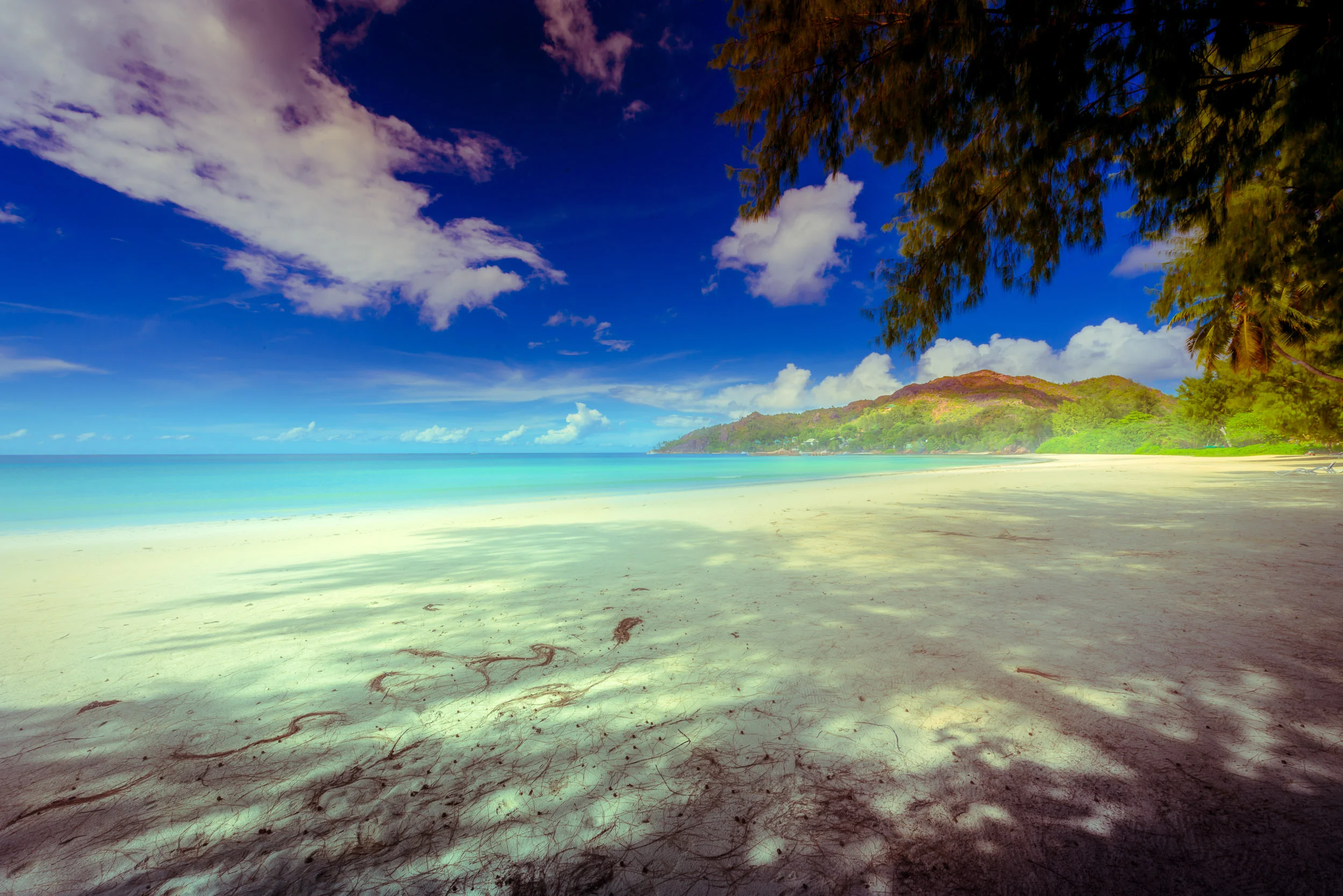Seychelles-8.jpg
