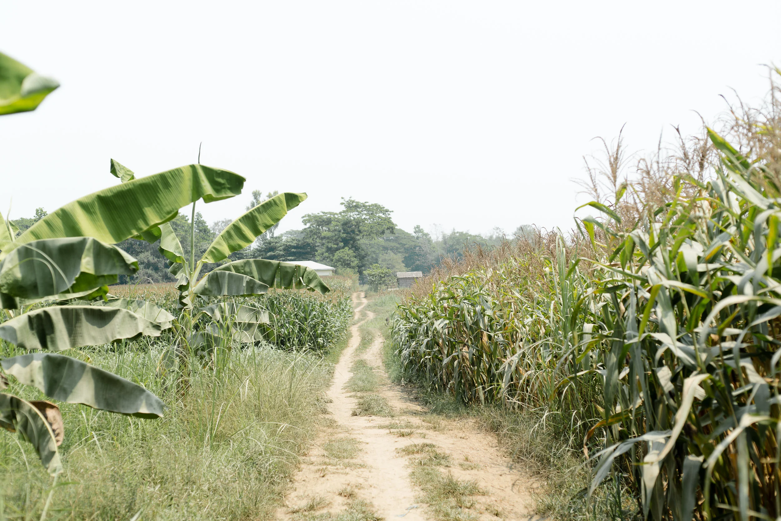 myanmar_by_water_22.jpg