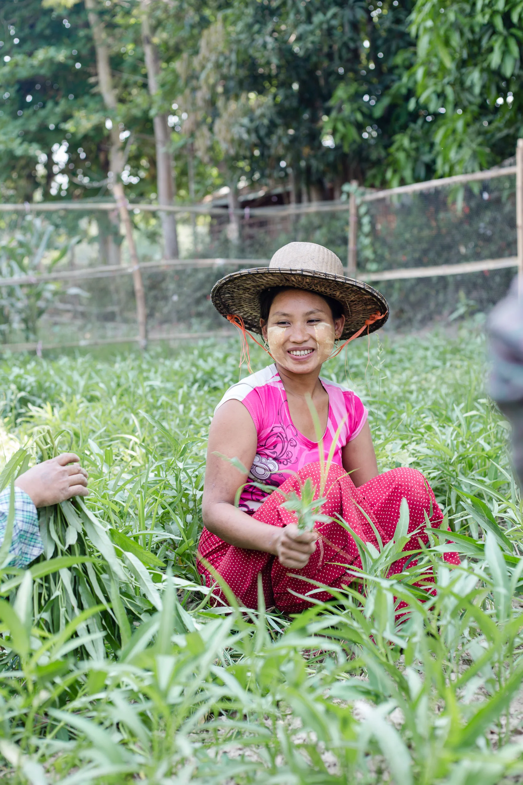 myanmar_nutrition_training_04.jpg