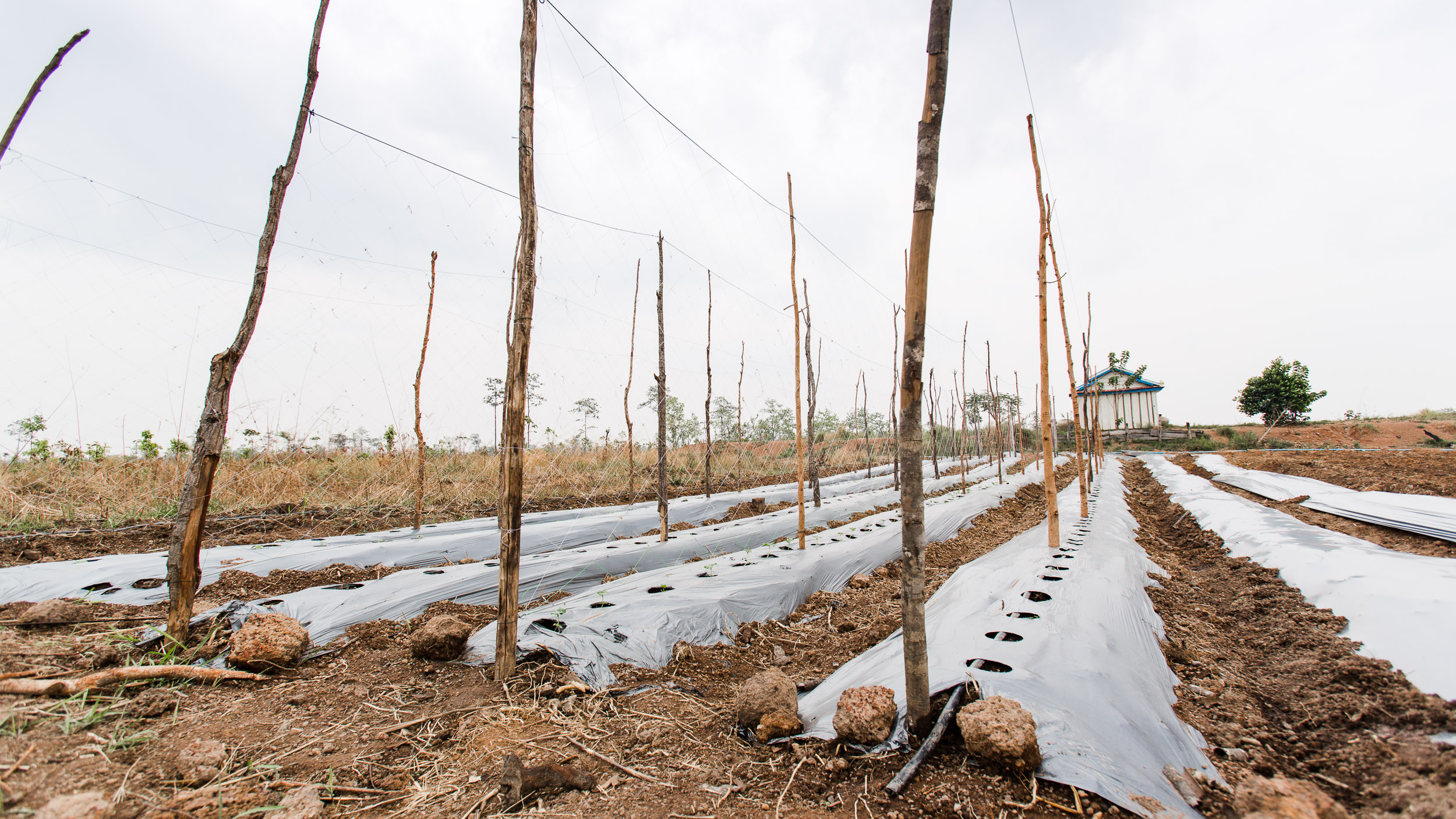cambodia_cws__78.jpg