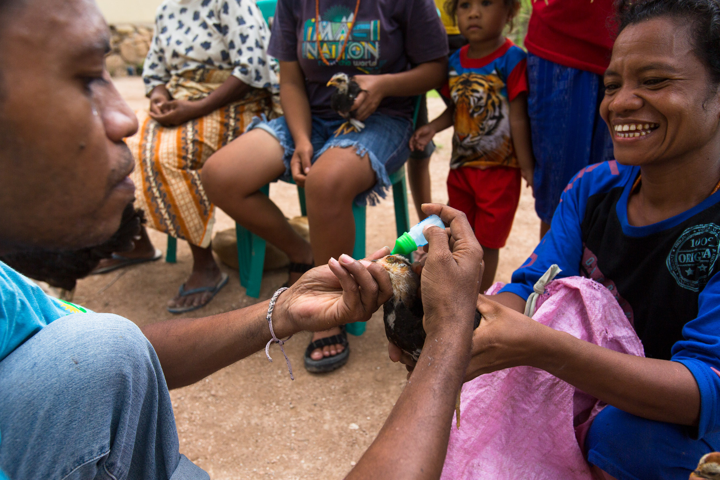 cws_chicken_raising_vaccinations_18.jpg
