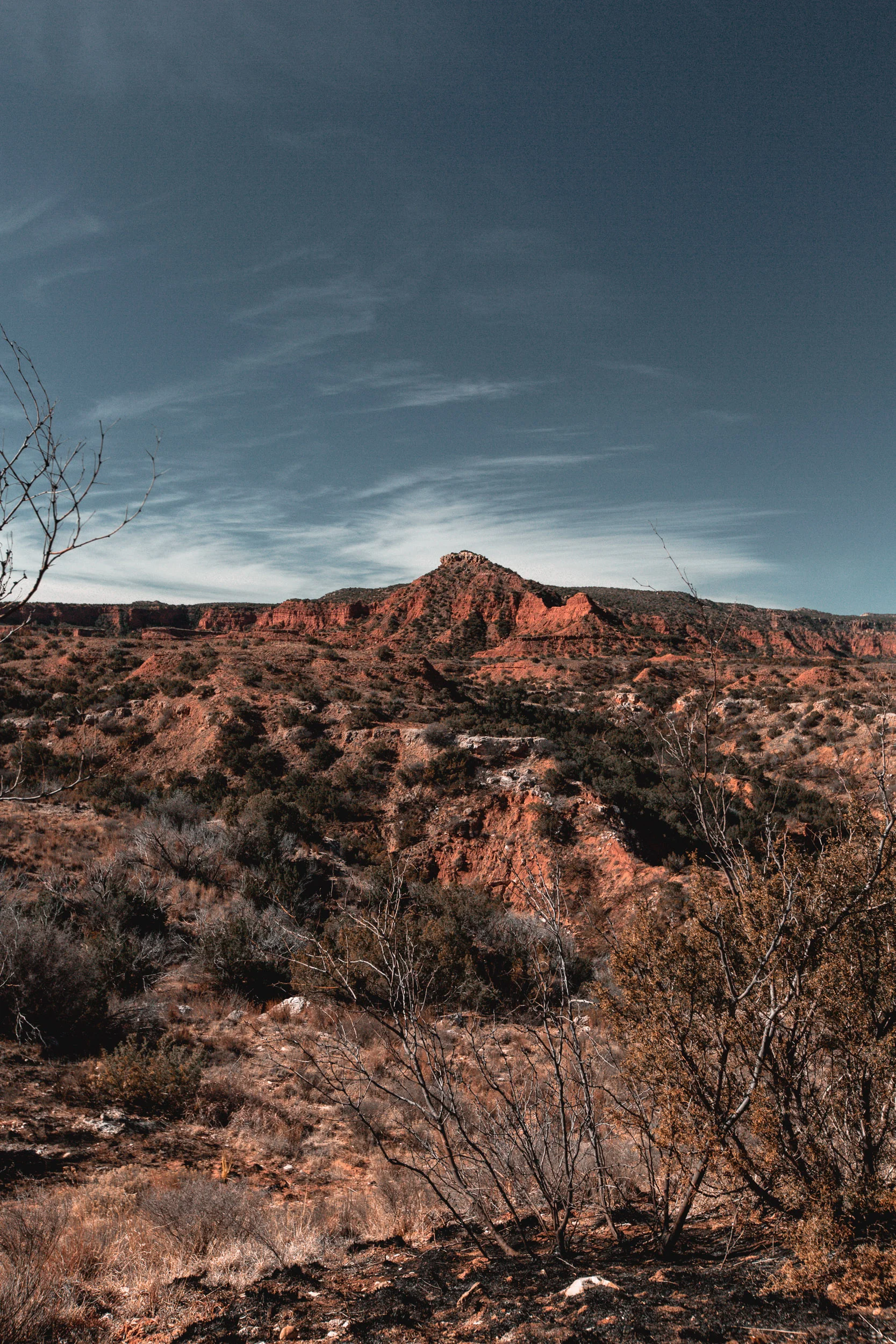 Caprock_Canyons_33.jpg