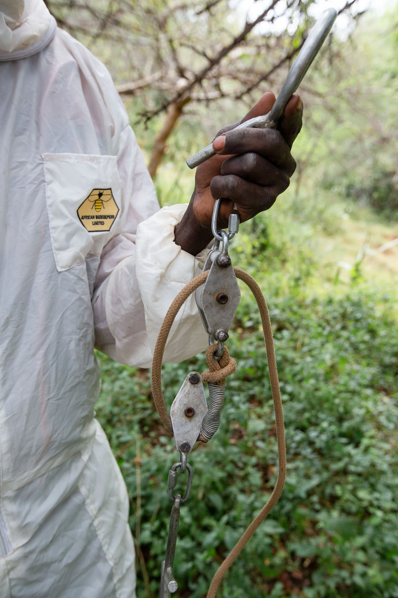 Beekeeping_Practices_in_West_Pokot_Kenya_16.jpg