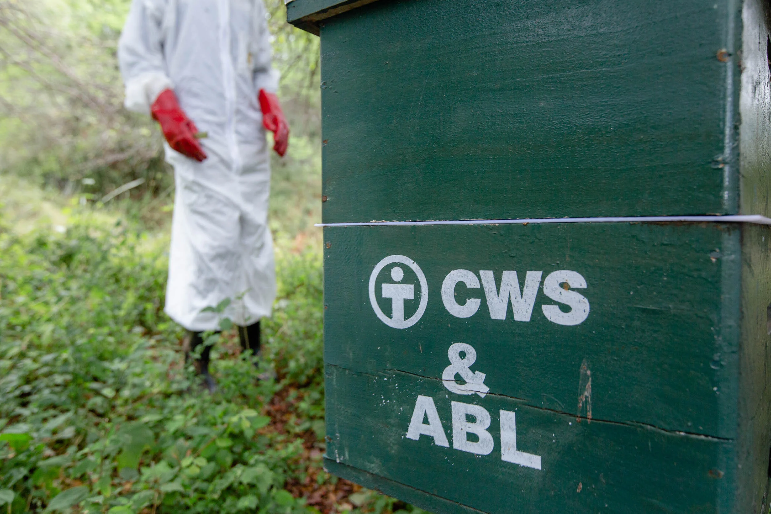 Beekeeping_Practices_in_West_Pokot_Kenya_18.jpg