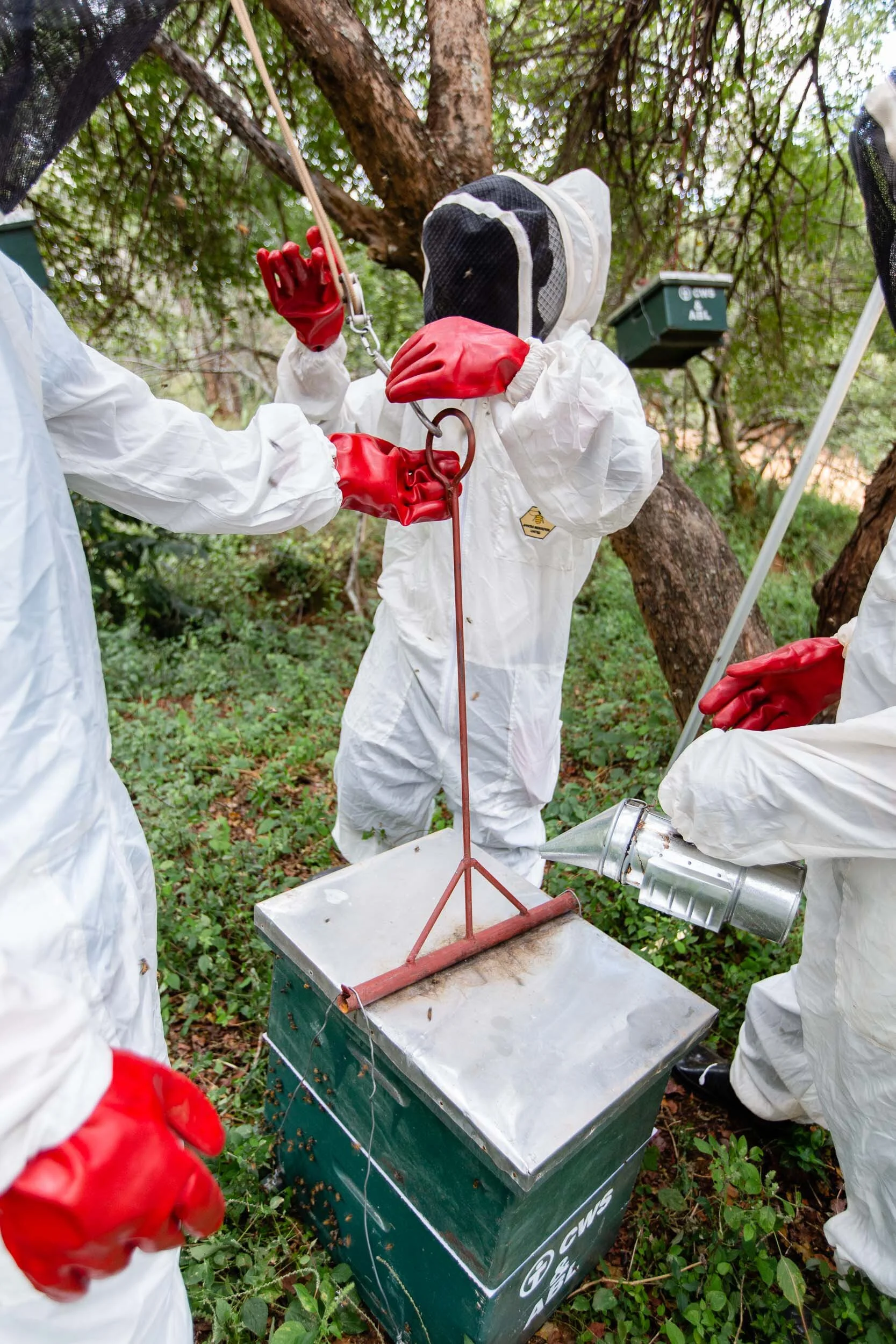 Beekeeping_Practices_in_West_Pokot_Kenya_28.jpg
