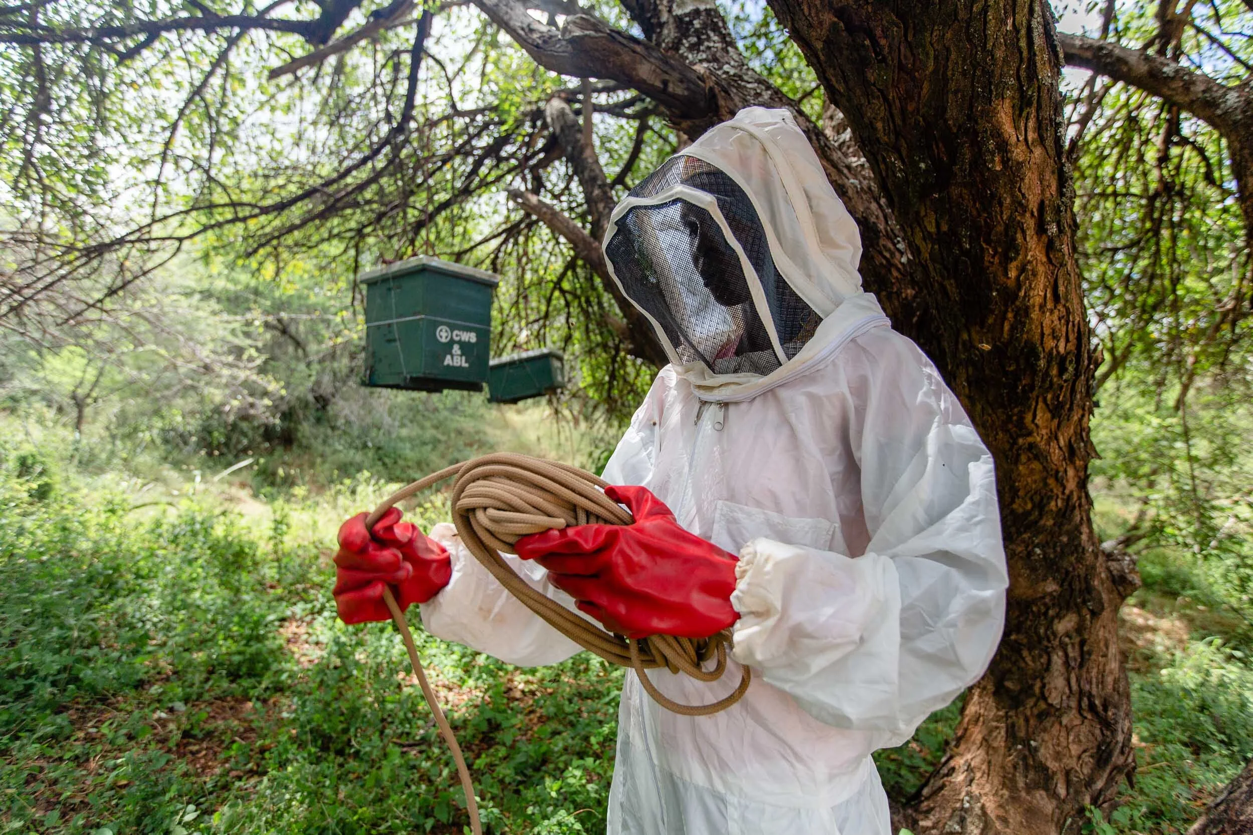 Beekeeping_Practices_in_West_Pokot_Kenya_35.jpg
