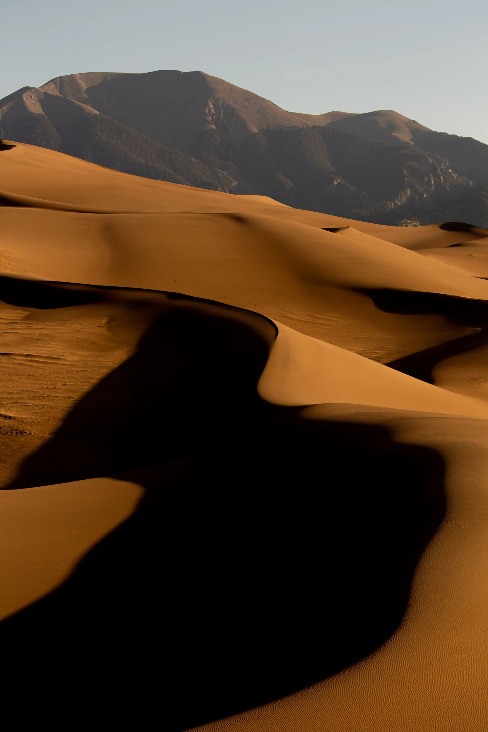 2019_RAS_Colorado_Great_Sands_NP_19.jpg