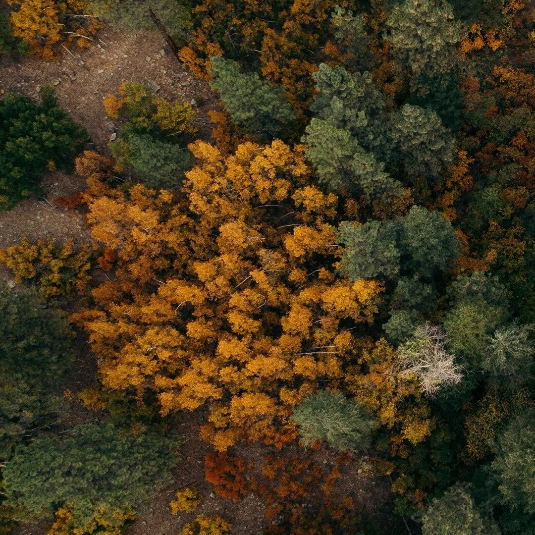 2 of 2 | Aerials always bring me peace so this image seemed fitting for today’s post. I went a little rogue on the previous post not describing how I got the shot or where I was, but it’s a welcome interruption. ⠀⠀⠀⠀⠀⠀⠀⠀⠀
•⠀⠀⠀⠀⠀⠀⠀⠀⠀