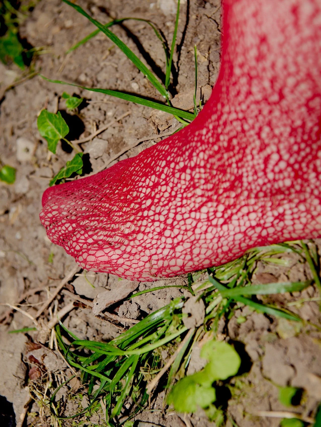 𝑺𝒂𝒊𝒍 is out since friday💫 have you heard it yet? 

have a look behind the glamourous cover photo by @ronja_burkard into the making-of --- the dirt &amp; a tiny beauty salon in the nettles🌿🌿 Thank you to Ronja &amp; Rosa for your energy &amp; p