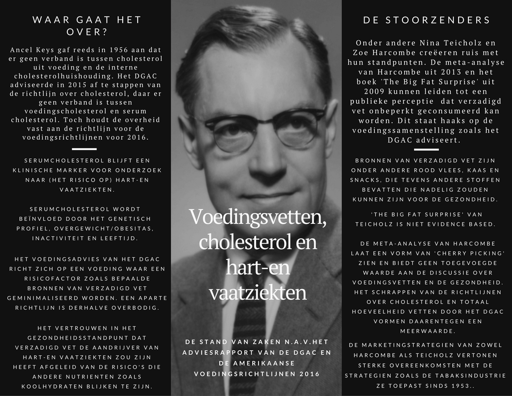 Infographic toegepast als schets voor het beschreven onderwerp, de feiten, meningen en stoorzenders.
