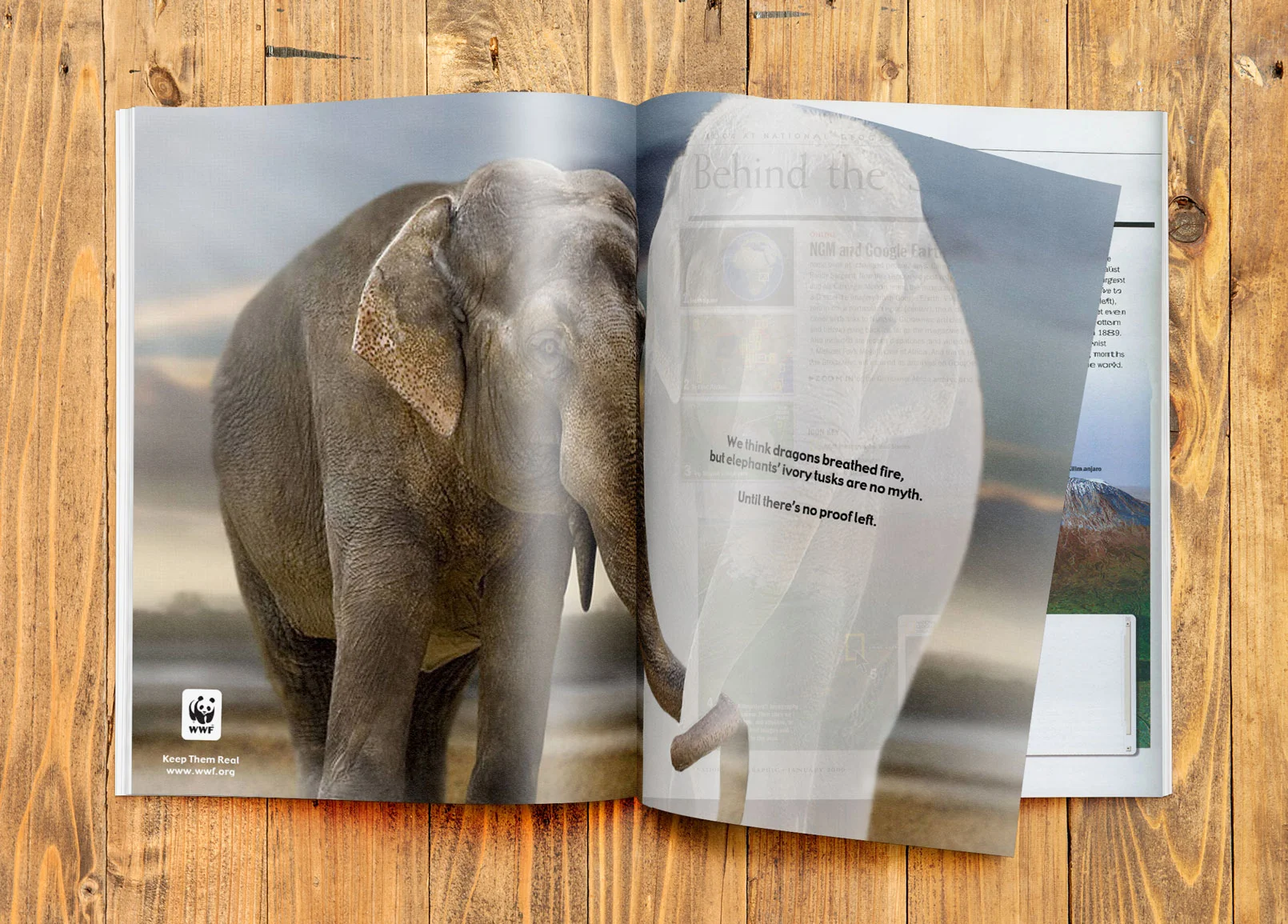 MagazineAd_mockup.jpg