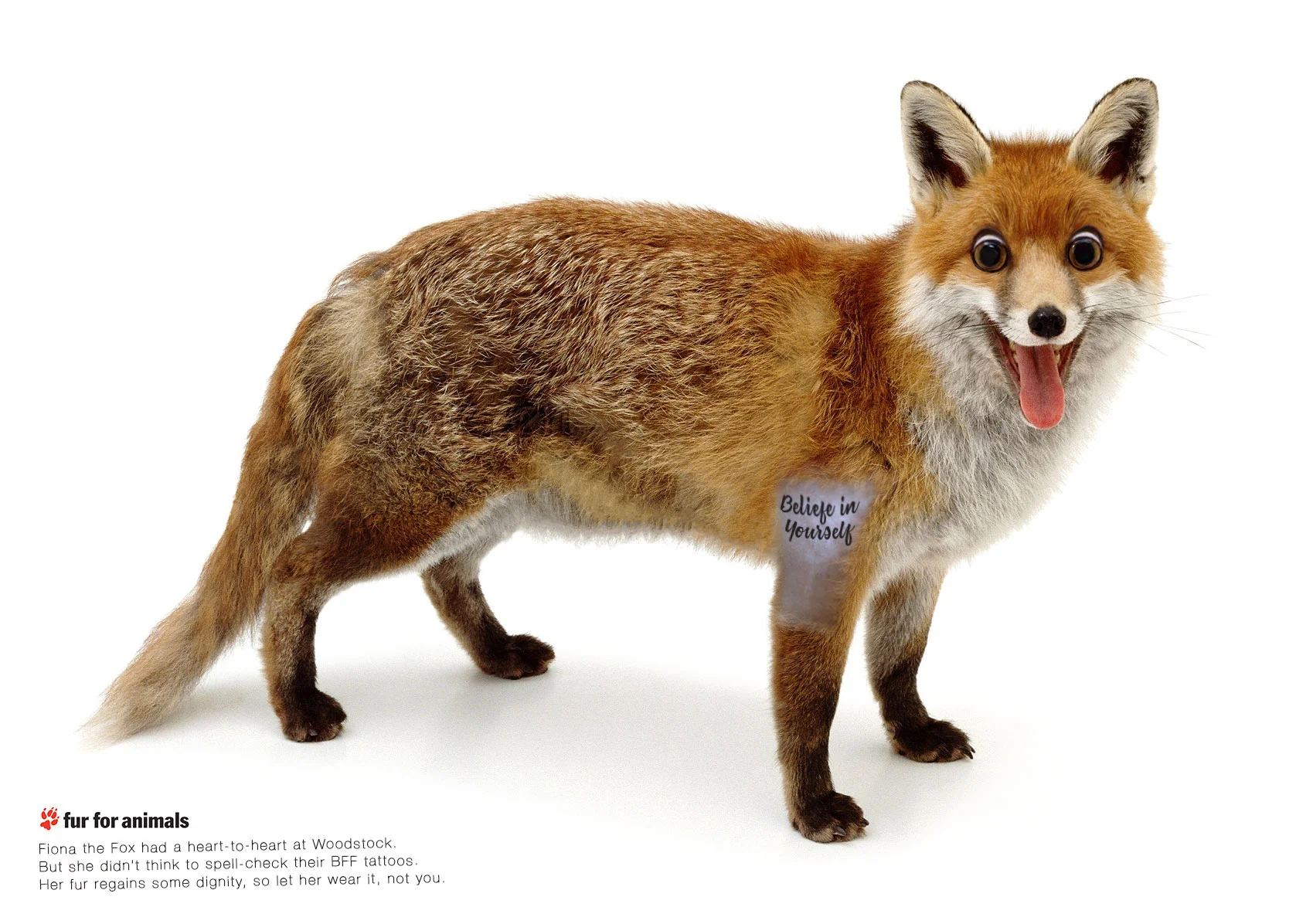Fox.jpg