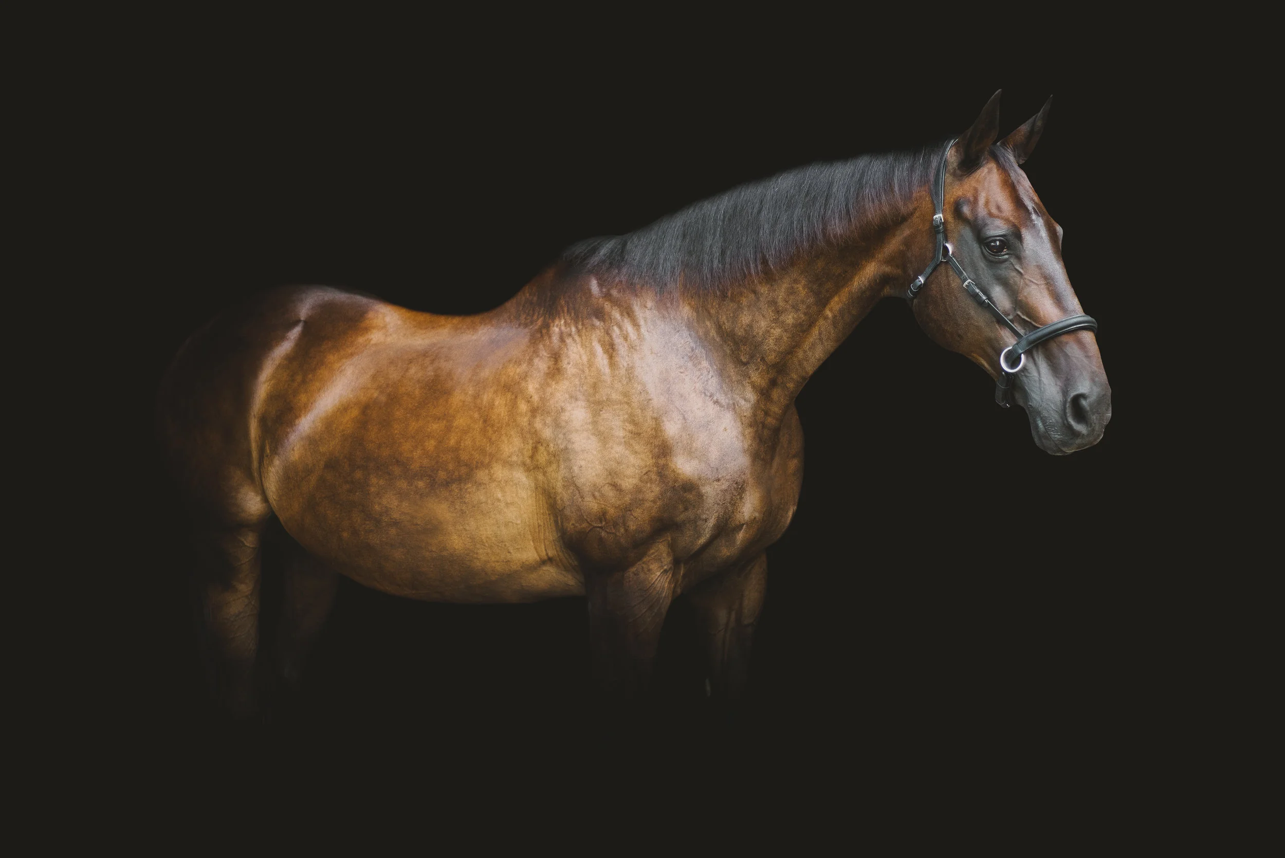 shawnee_edited-6.jpg