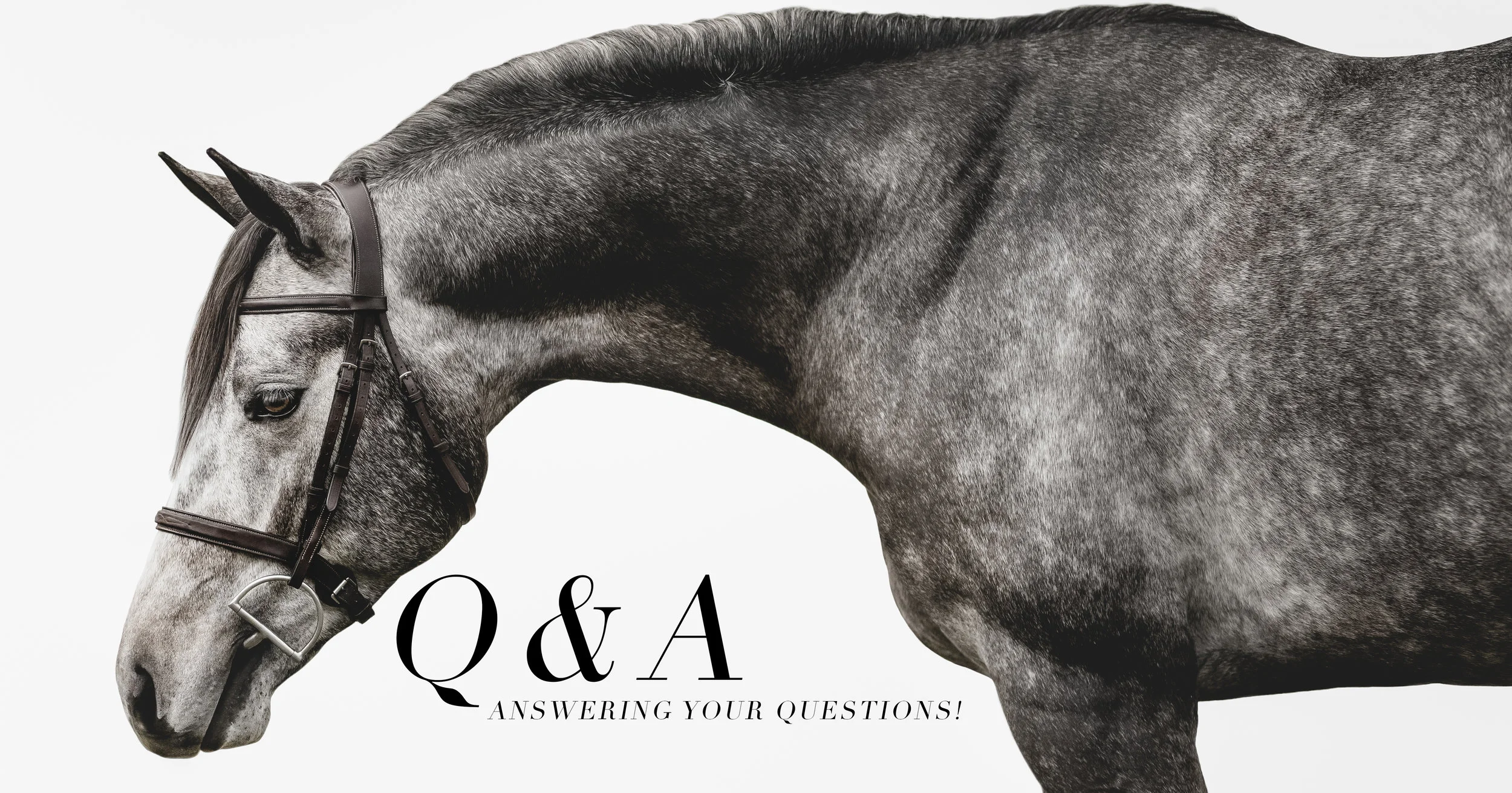 qanda.jpg