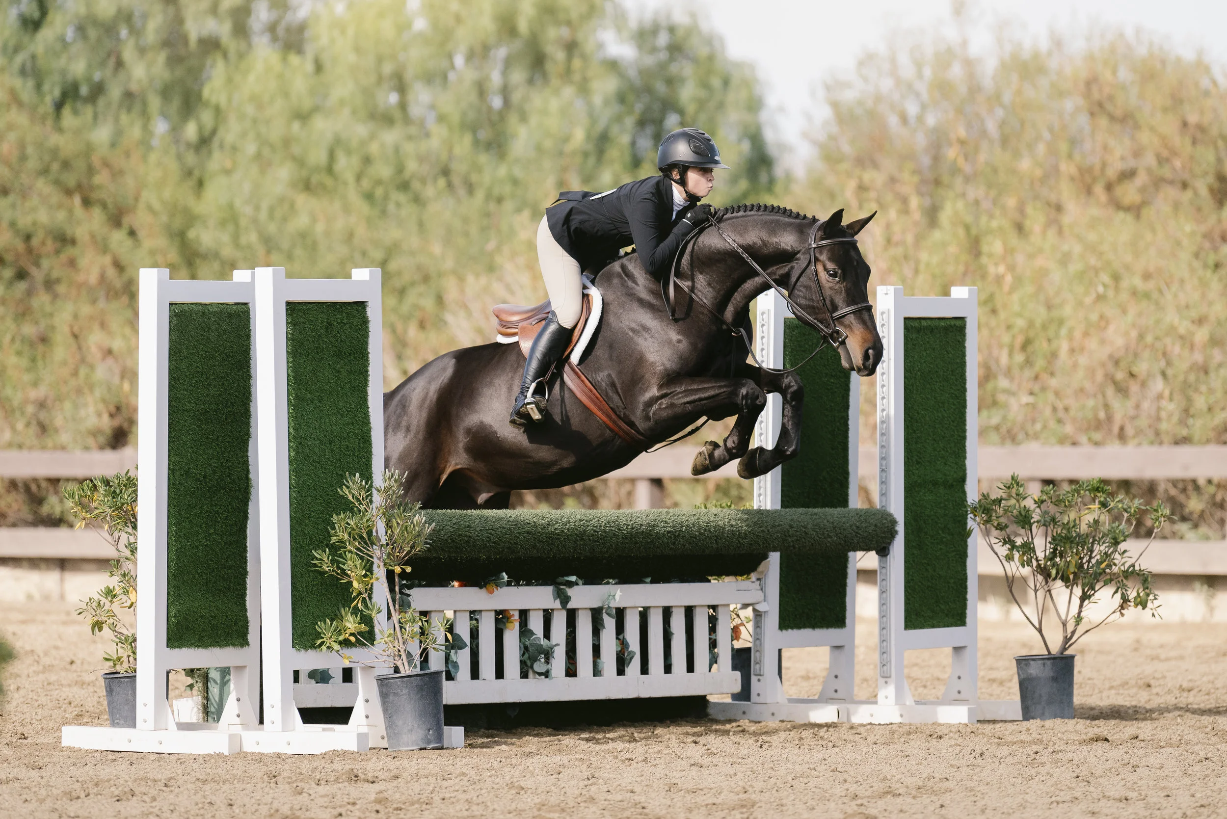 Me and Silber, the horse I leased and competed with this summer!