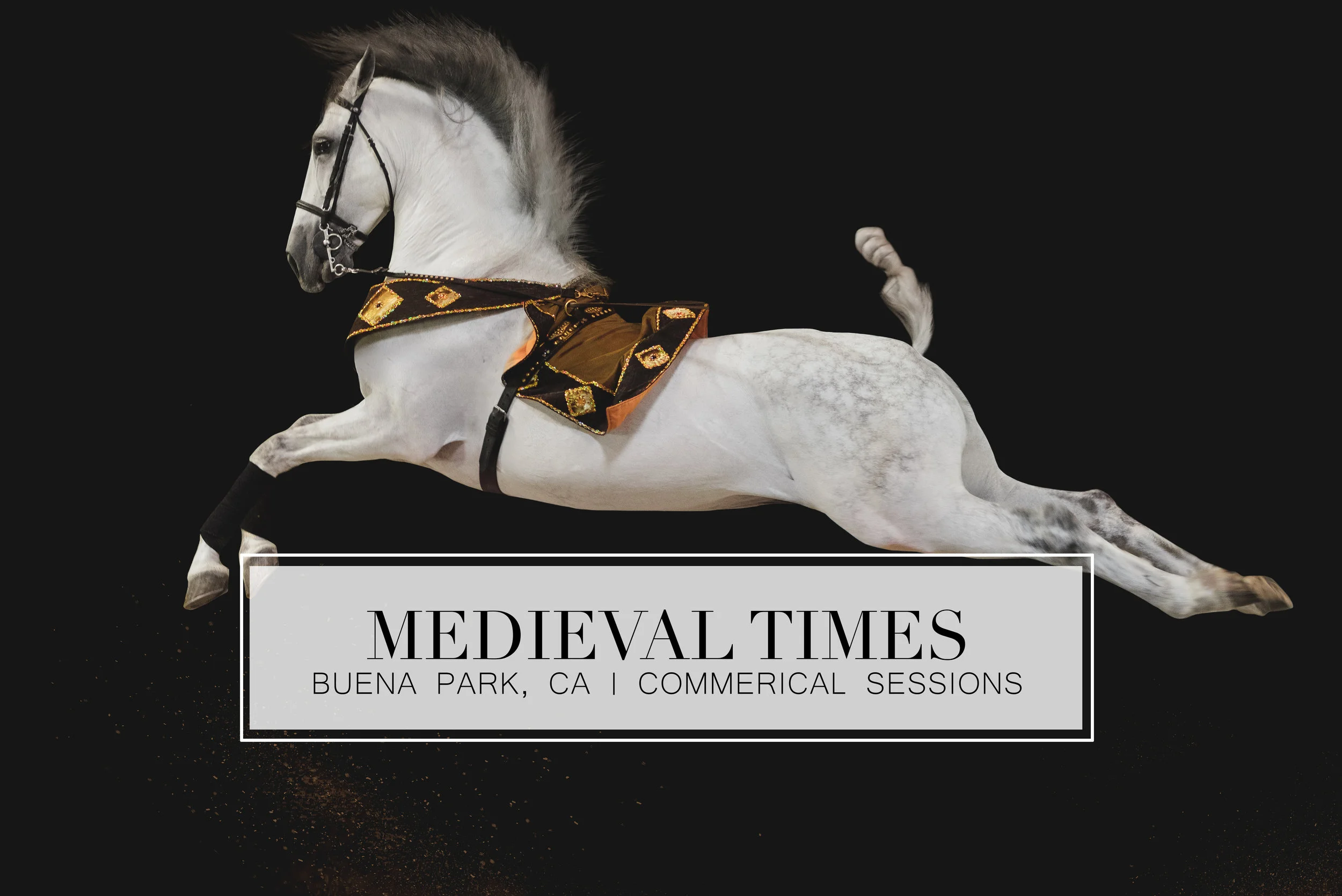medievaltimesheader.jpg