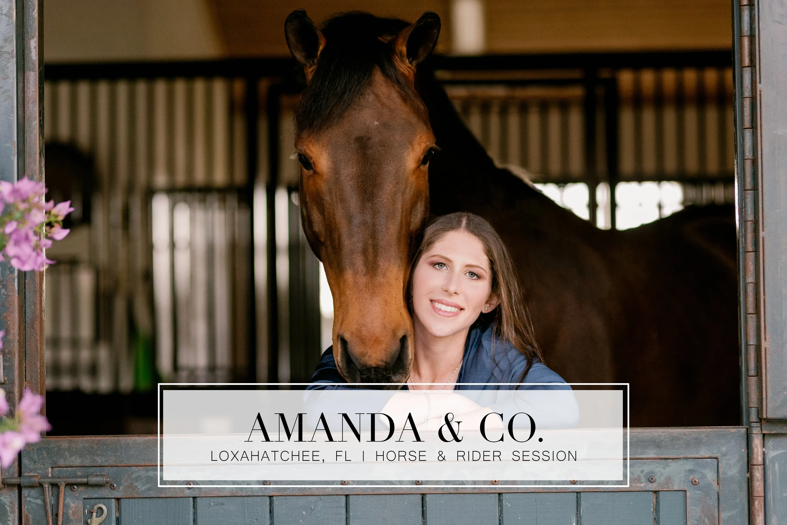 amandaandco_header.jpg