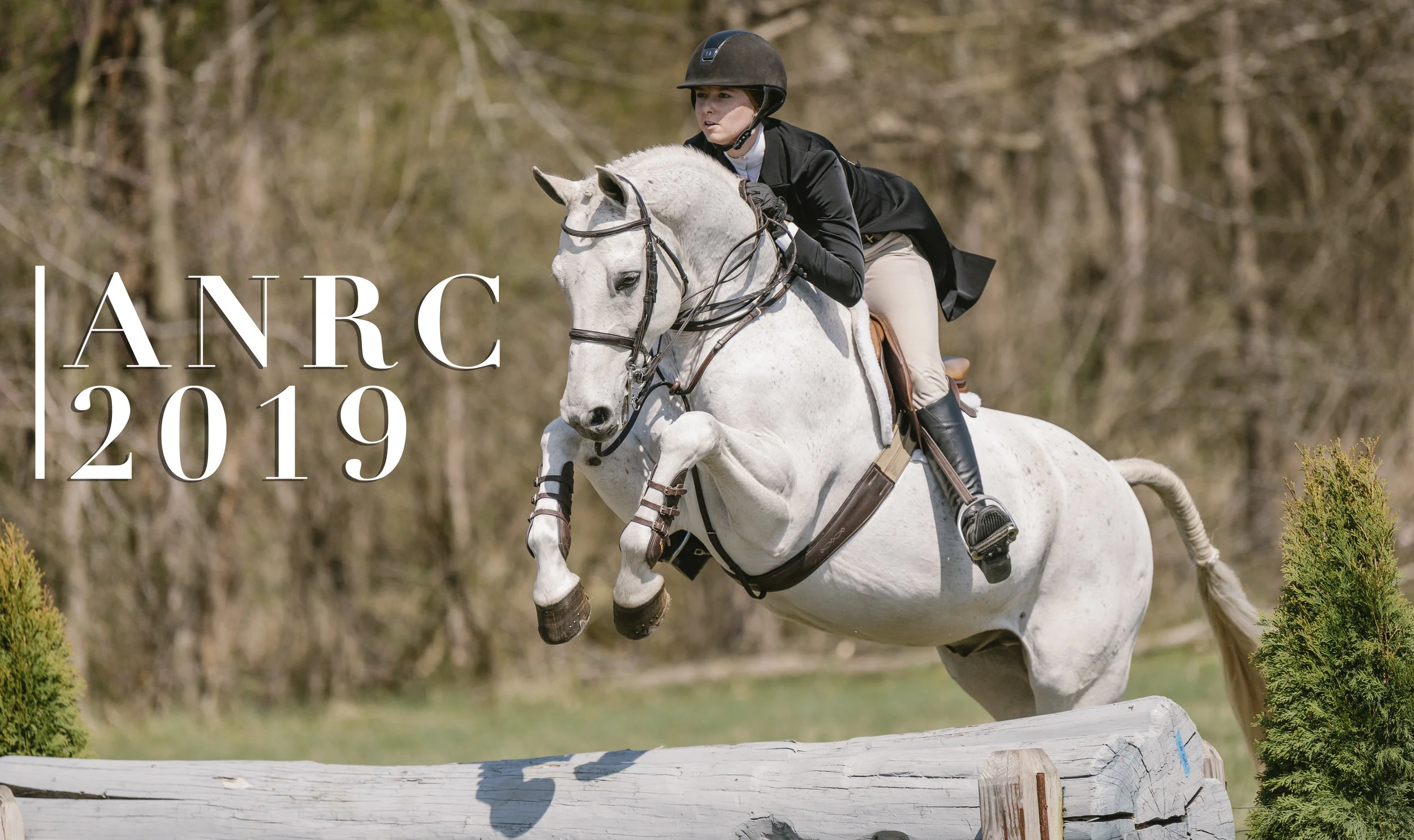 anrcadd2019.jpg