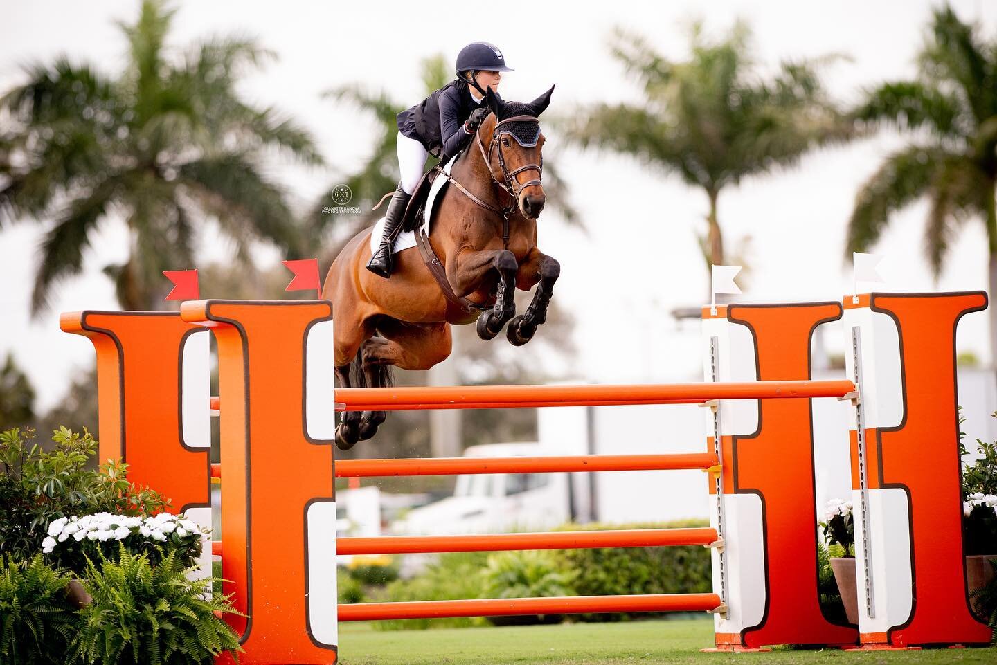 Scenes from this first Derby Field day of WEF 2022 🌴✨