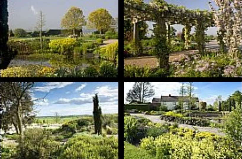 Anglian Potters at Hyde Hall Garden