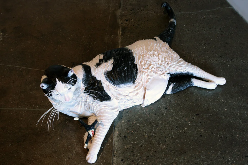 fat cat installation.jpg