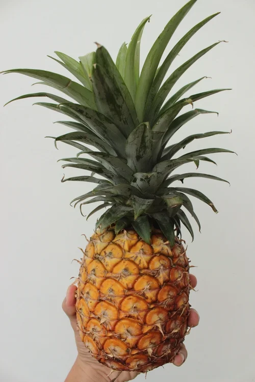 tumblr_o0tbpyEpFe1r6v6soo1_500.jpg
