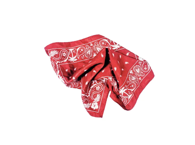 studio-hankie.jpg