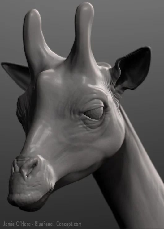 giraffe_head.jpg
