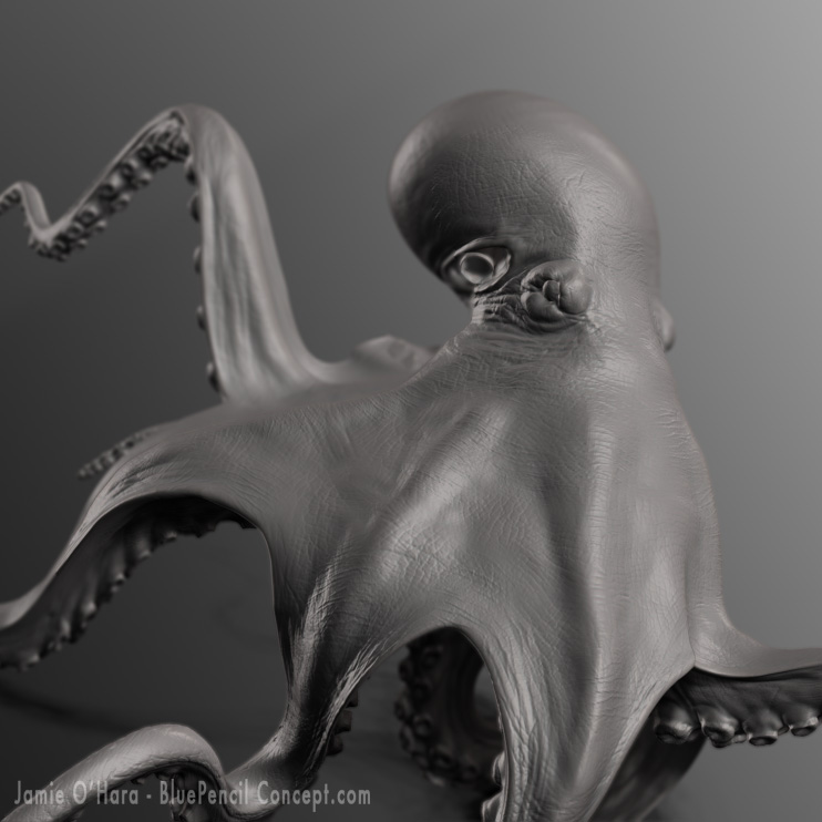 octopus_head.jpg