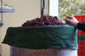 Hand-crafted Wines