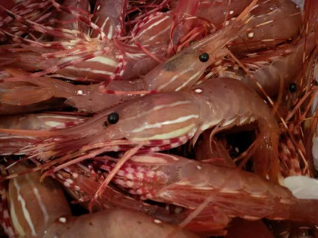 Seafood Marinade