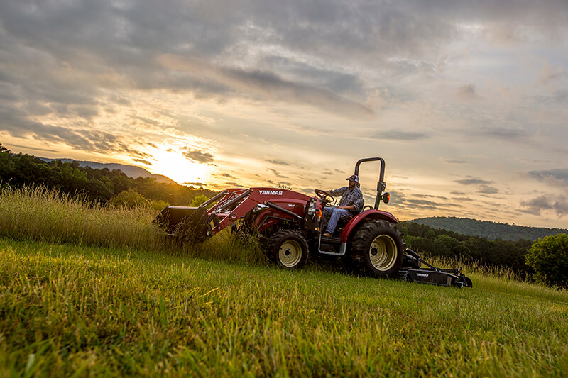 Yanmar-Berry-May2016-IMG_7909.jpg
