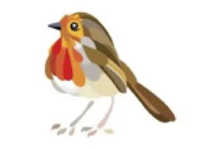birdie.jpg