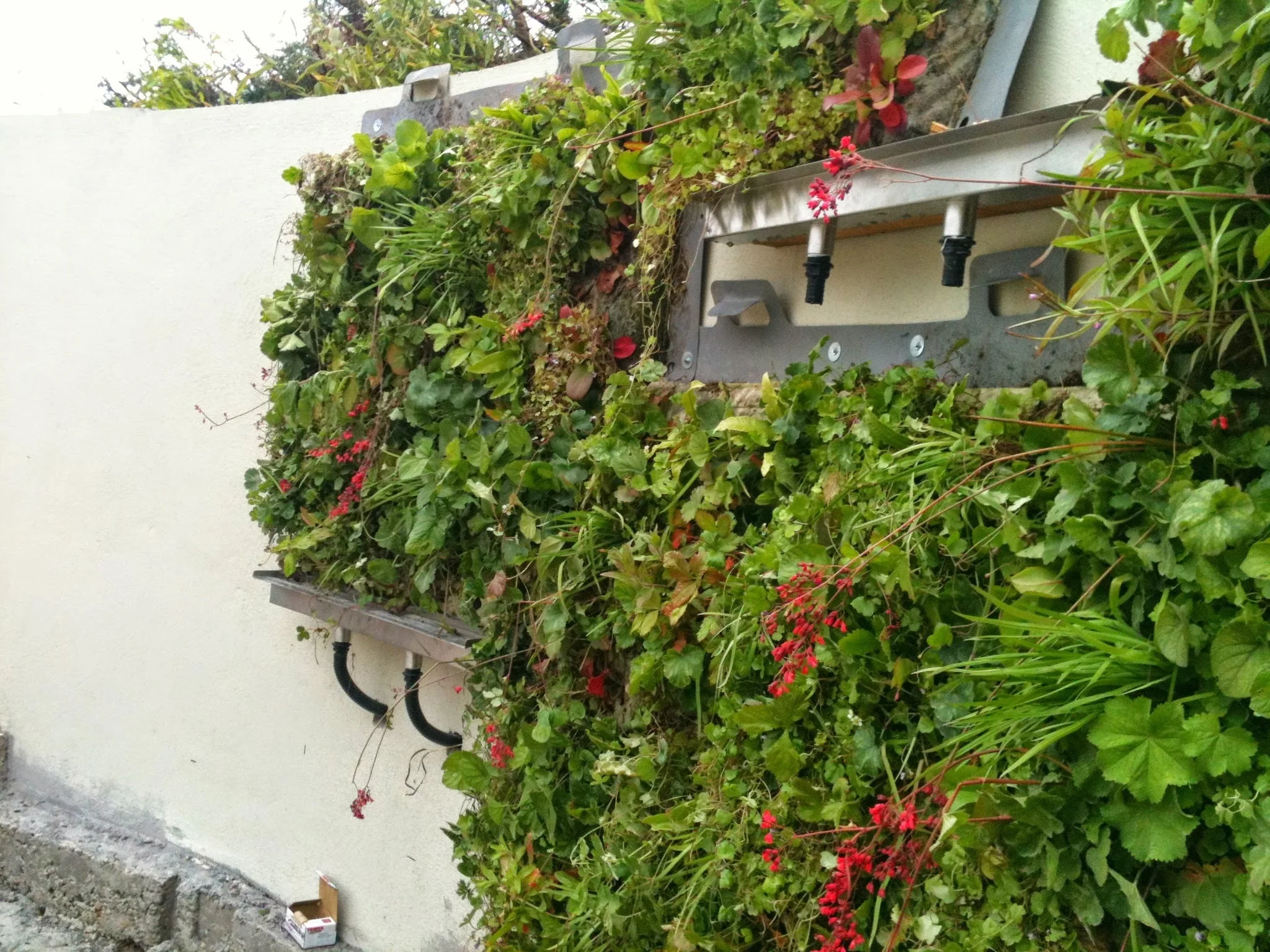 Living walls installation.jpg