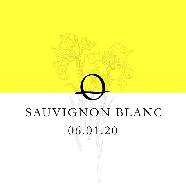 06.01.20 - Waiting list in bio.  50 cases