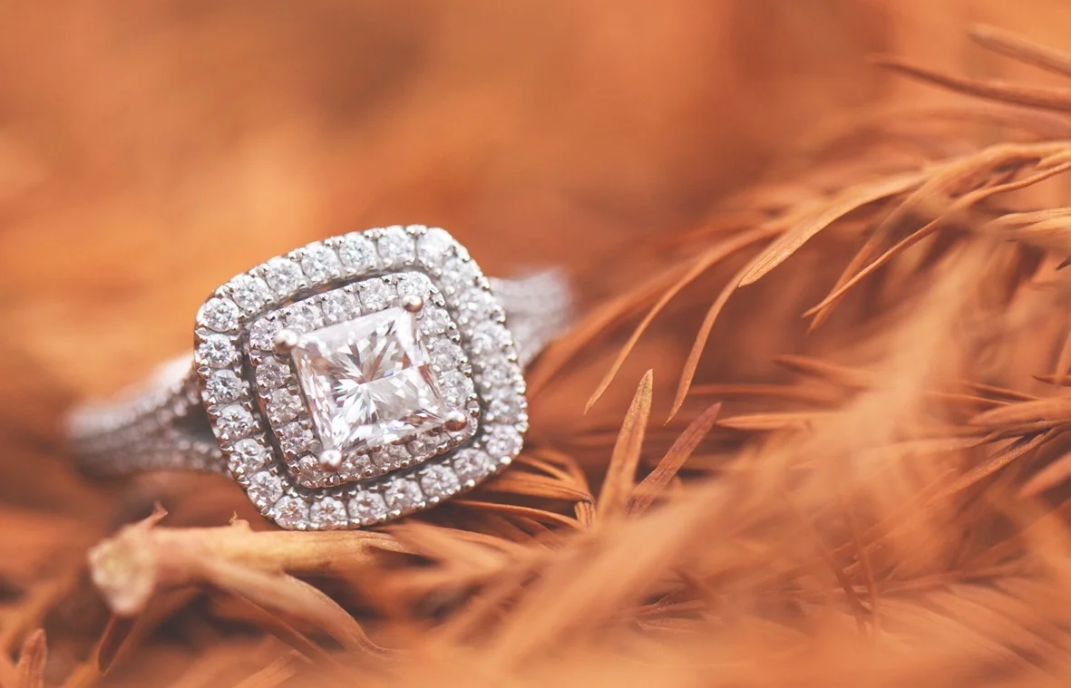 Catarina & Dane's Engagement Portraits @ Tibbetts Brook Park in Yonkers