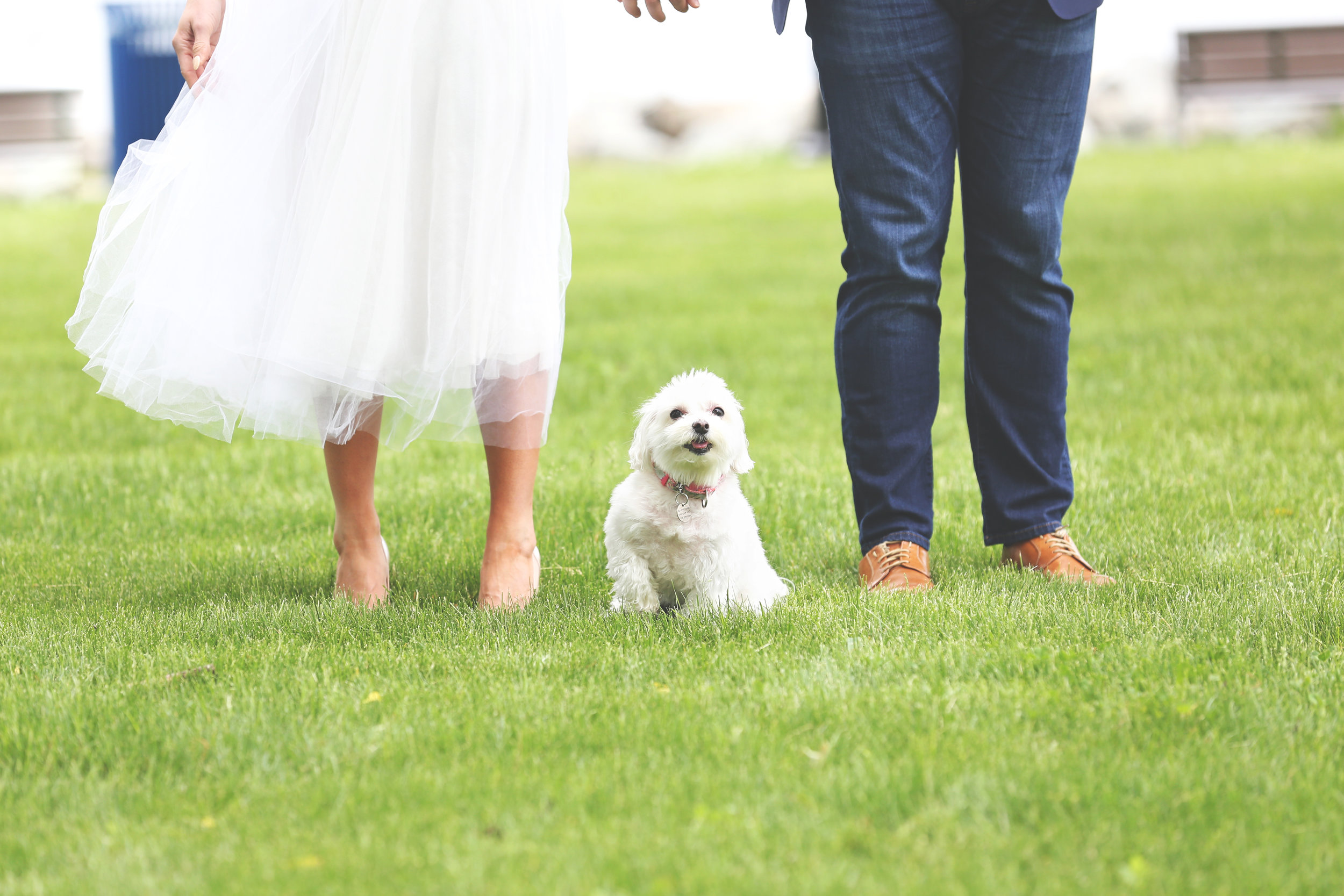 beach outdoor engagement photography