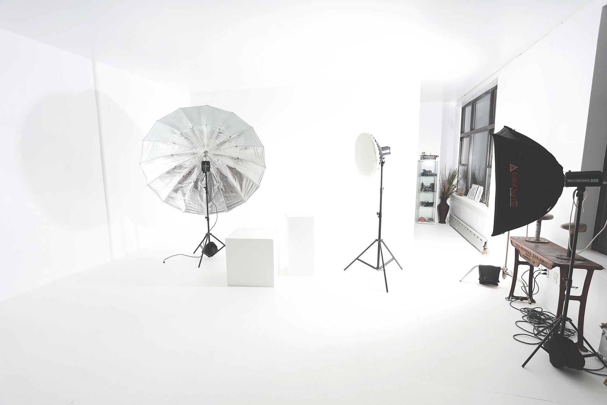 RealDepthOfField Studio New Rochelle New York.jpg