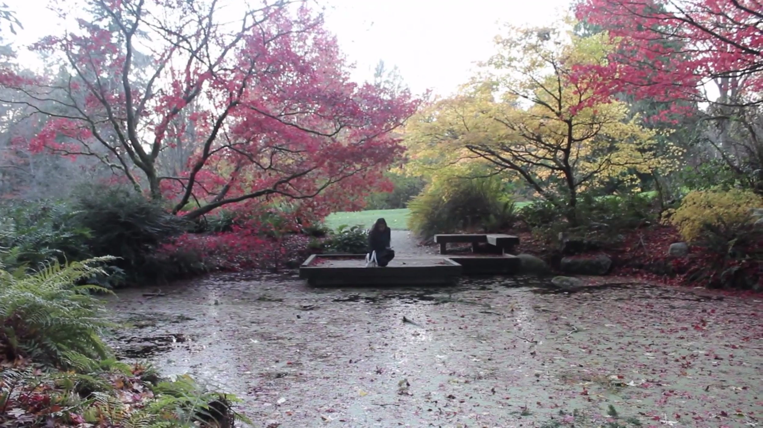 Screen Shot 2016-01-15 at 6.20.06 PM.png