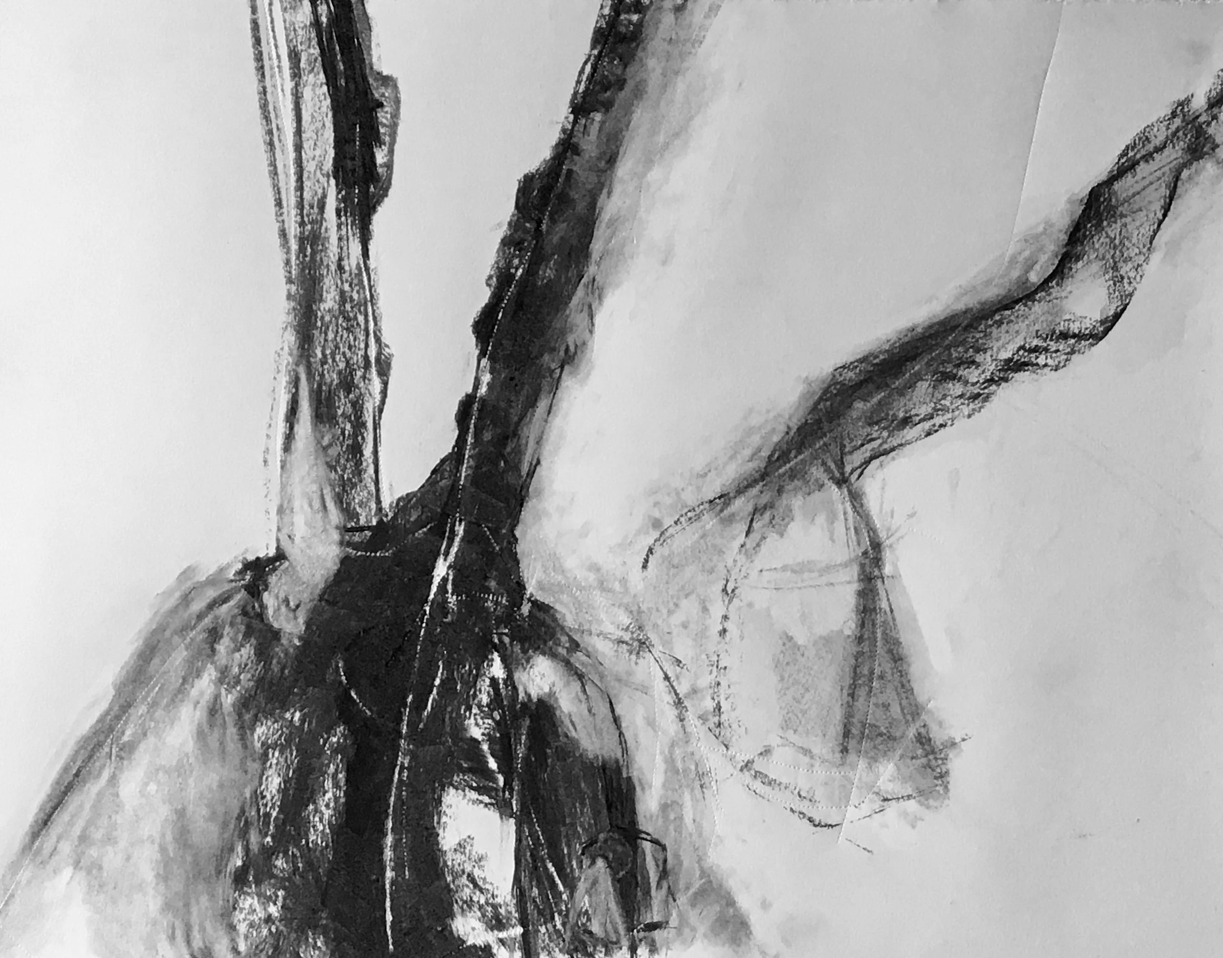 Ancient Tree charcoal drawing 2