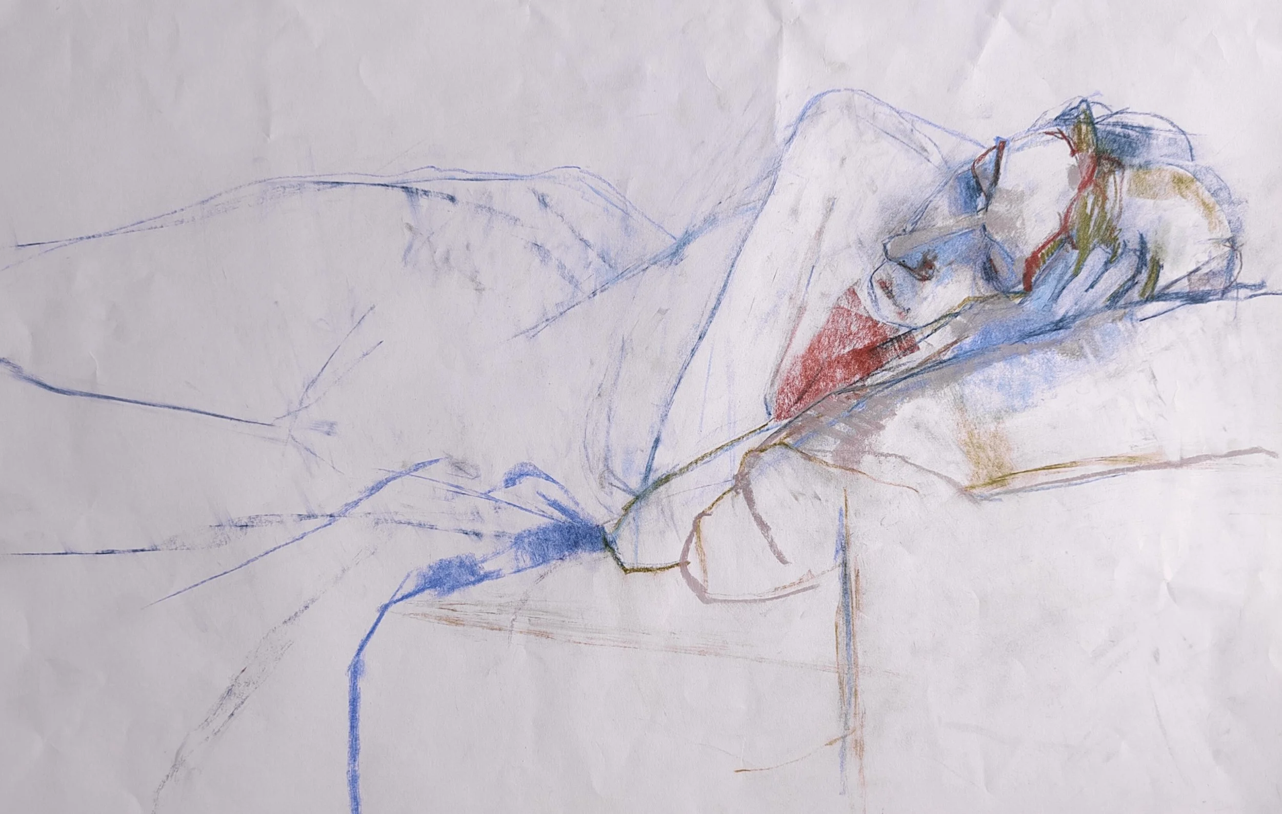 IMG_20251108_123253 2.jpg