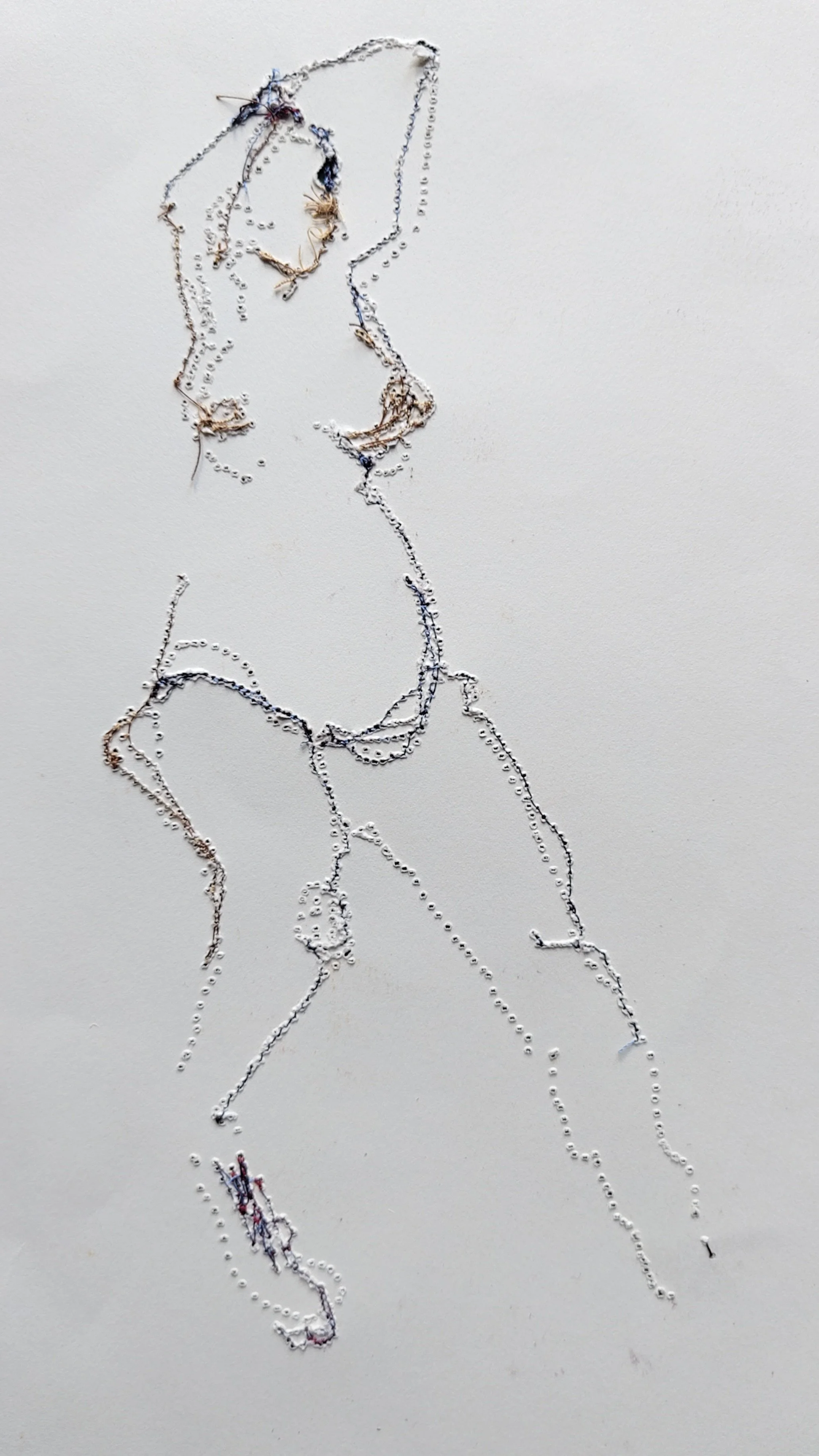 IMG_20251108_124644 copy.jpg