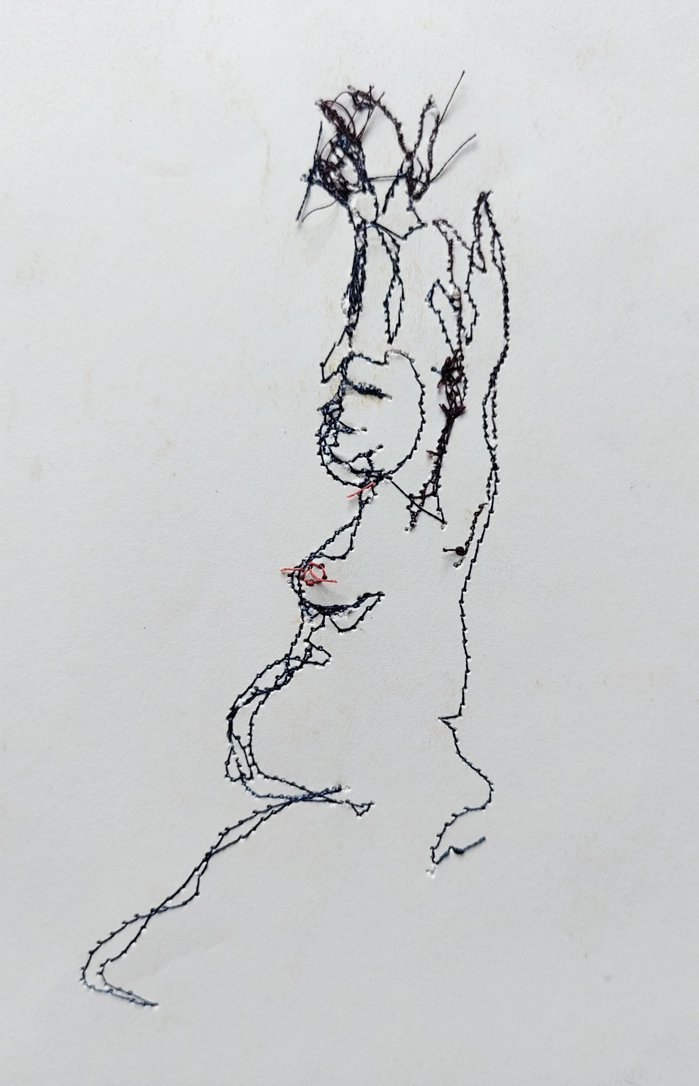 IMG_20251108_124717 2.jpg