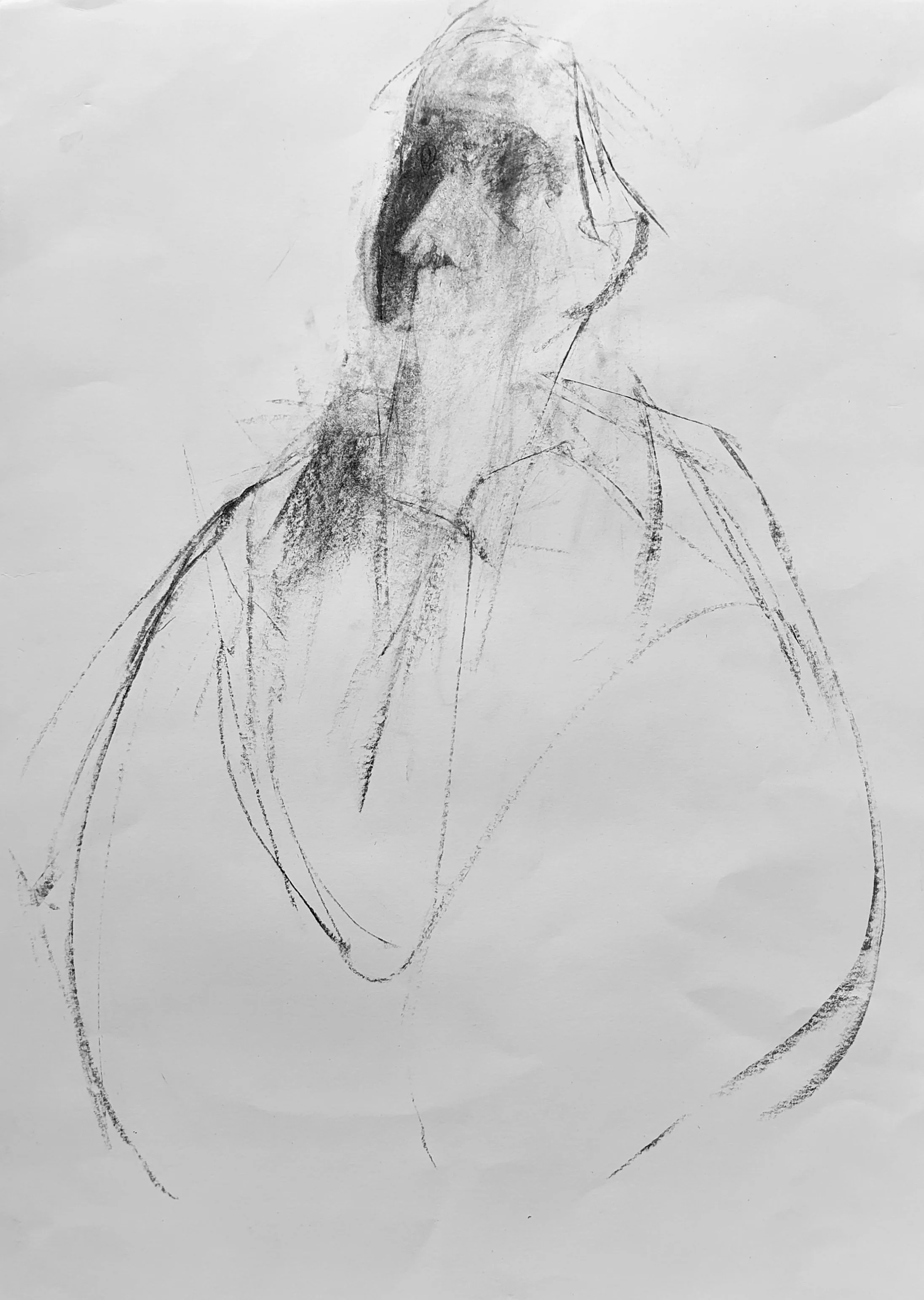 IMG_20251108_124959 2.jpg