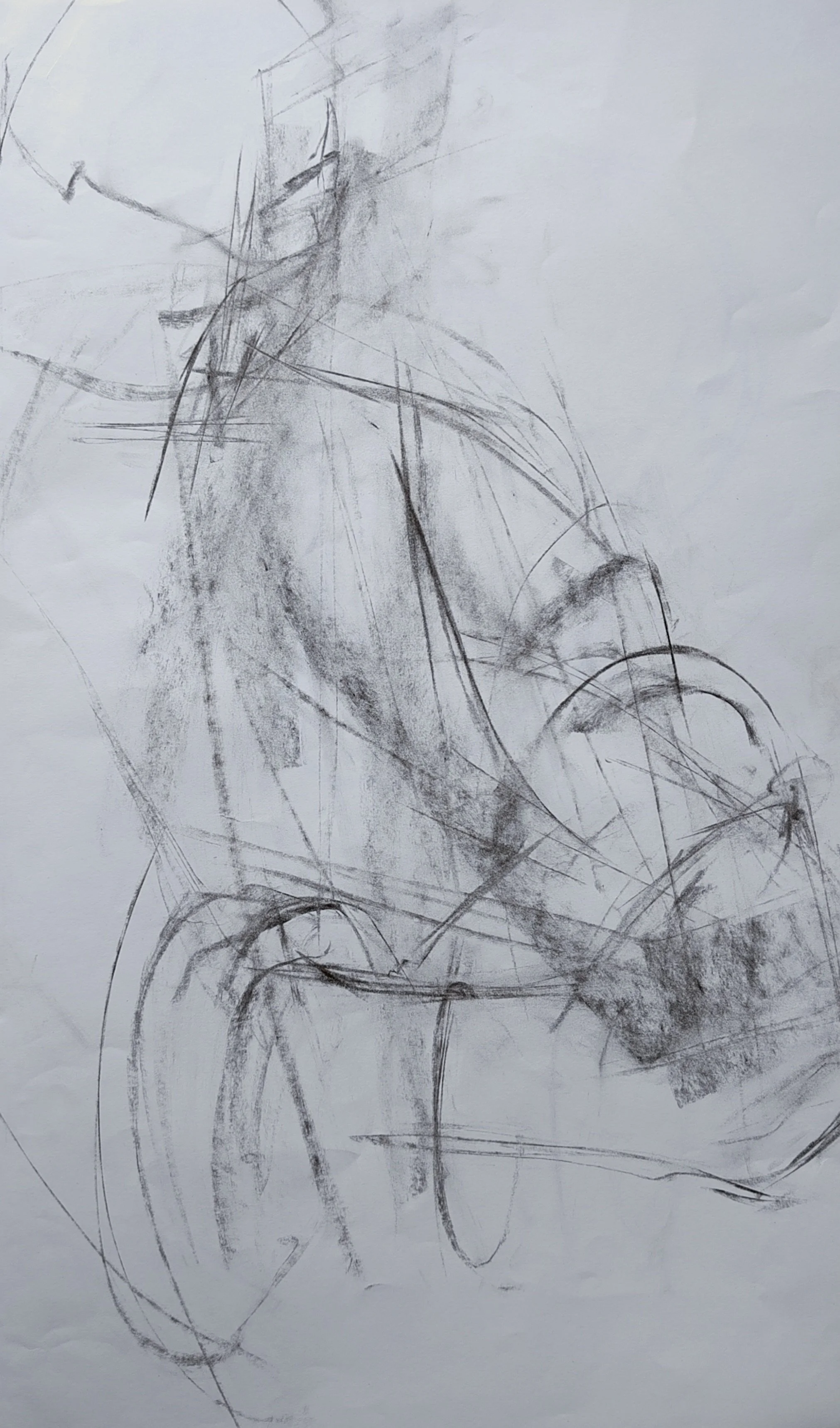 IMG_20251108_130040 2.jpg