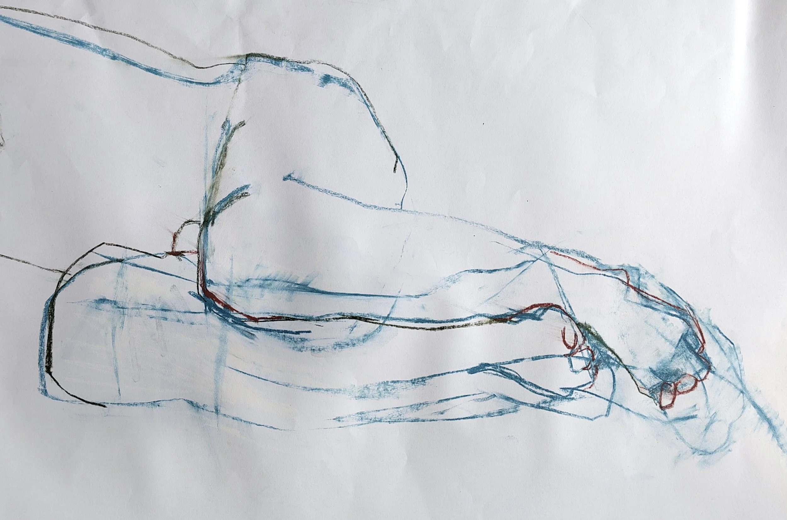 IMG_20251108_121830 2.jpg