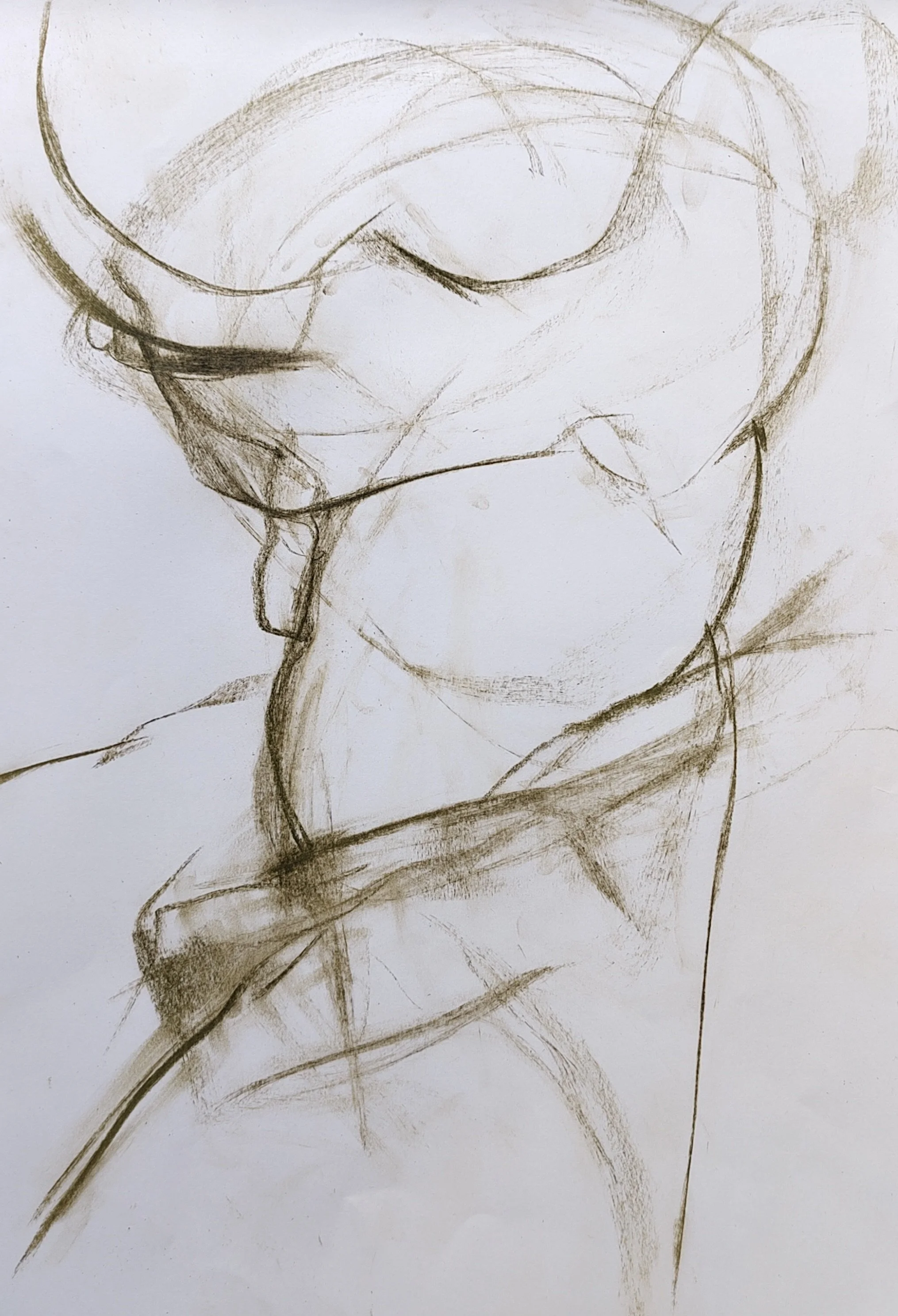 IMG_20251108_122448 2.jpg