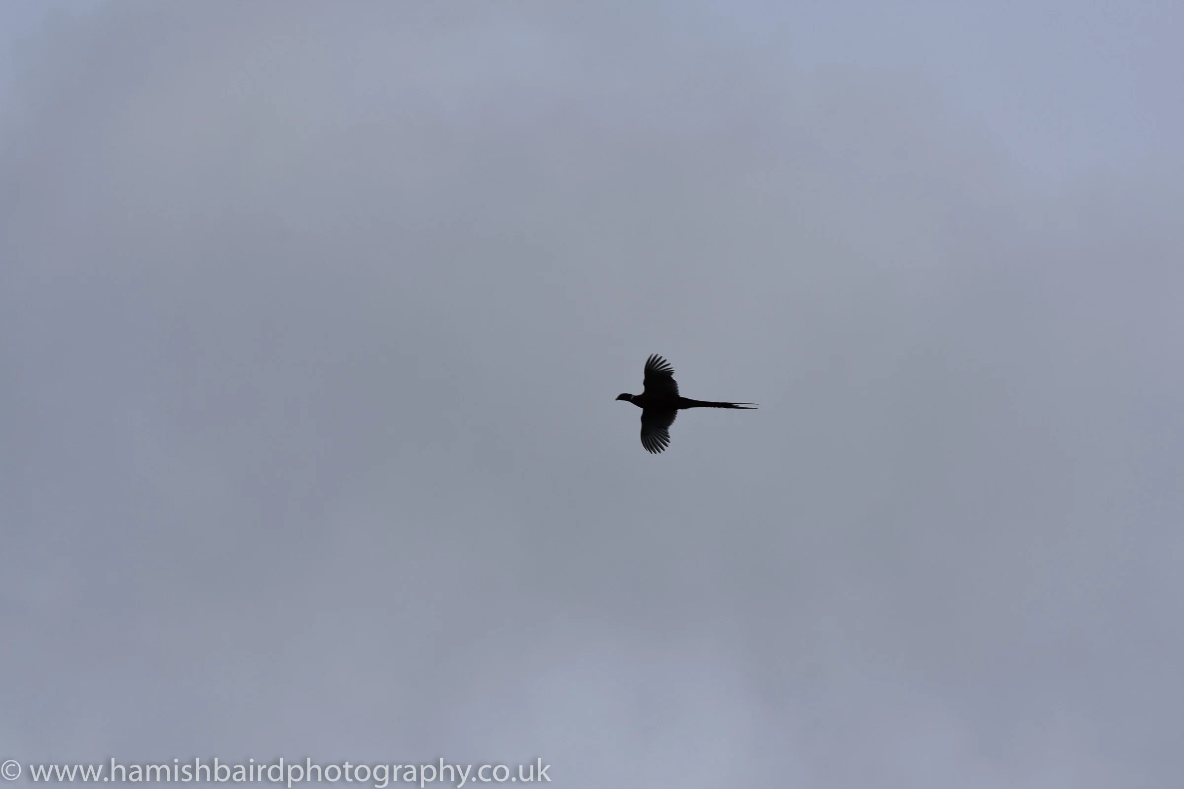 CameShoot_2016_08_JAN_All Photos_221.jpg