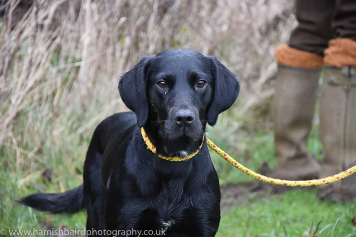 Freddie_Hall_Shoot78.jpg