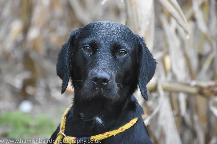 Freddie_Hall_Shoot110.jpg